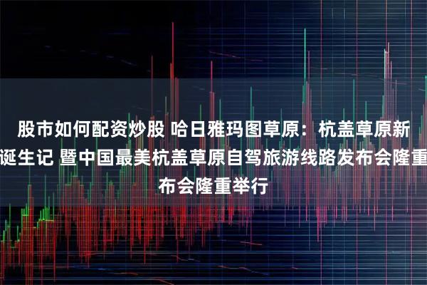 股市如何配资炒股 哈日雅玛图草原：杭盖草原新地标诞生记 暨中国最美杭盖草原自驾旅游线路发布会隆重举行