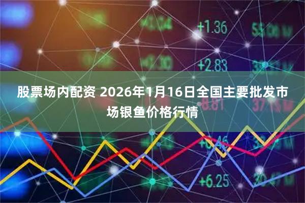 股票场内配资 2026年1月16日全国主要批发市场银鱼价格行情